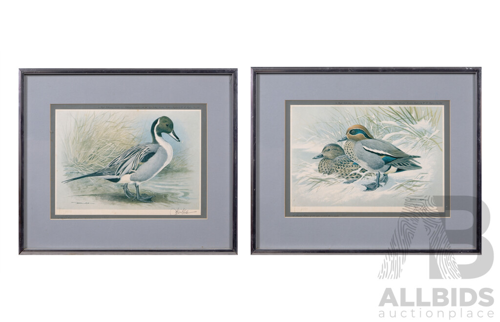 Basil Ede, (20th Century, British, 1931-2016), Pintail & Teal (1975), Pair of Vintage Gallery Prints of the Originals, 38 X 47 Cm (2)