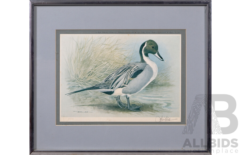 Basil Ede, (20th Century, British, 1931-2016), Pintail & Teal (1975), Pair of Vintage Gallery Prints of the Originals, 38 X 47 Cm (2)