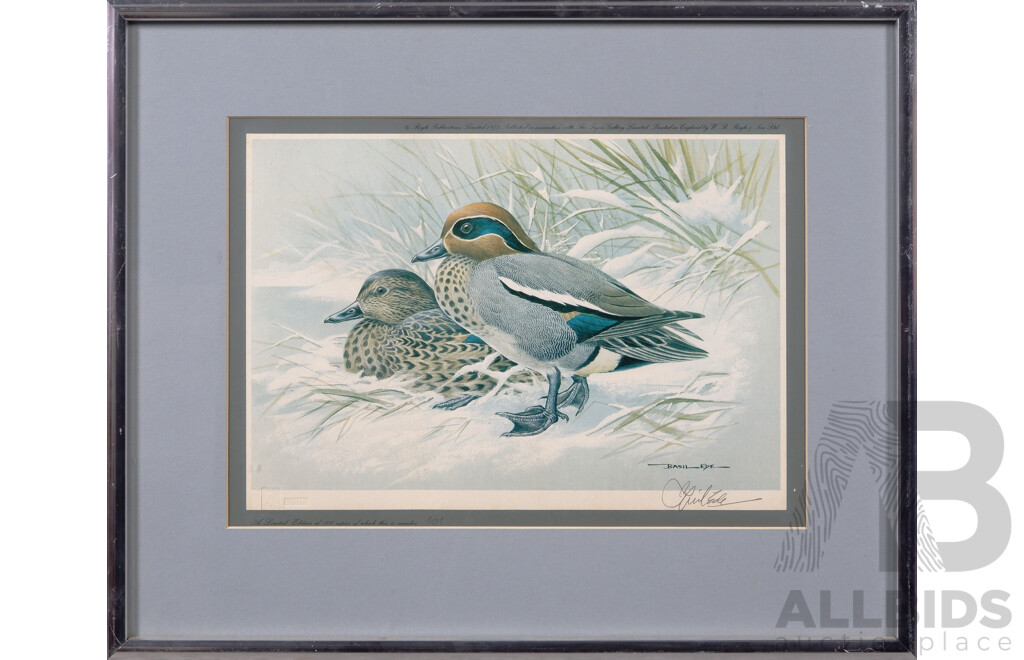 Basil Ede, (20th Century, British, 1931-2016), Pintail & Teal (1975), Pair of Vintage Gallery Prints of the Originals, 38 X 47 Cm (2)