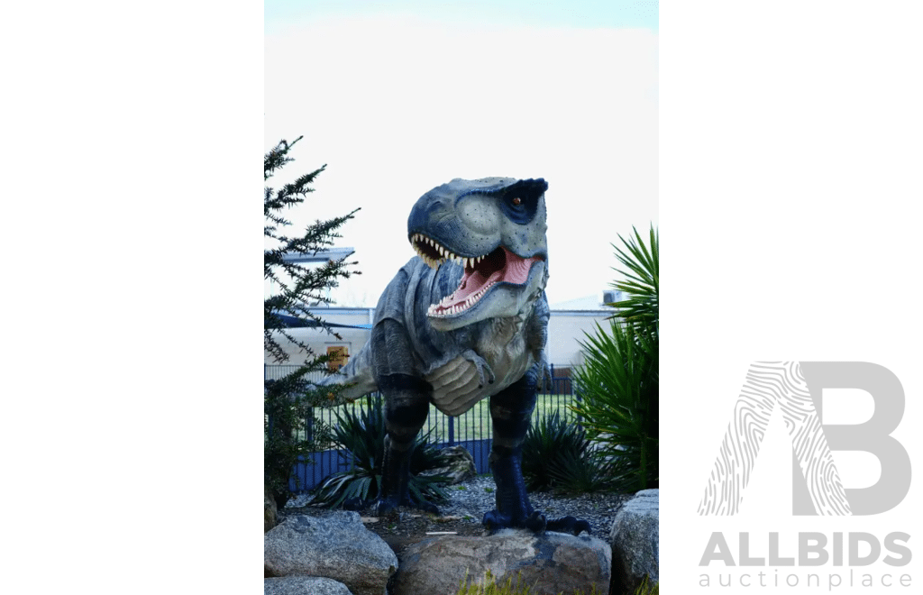 Gold Creek Village Family Day Out