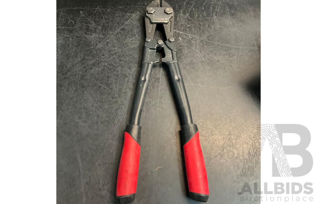 Assorted FERREX PRO, WORKZONE, TROJAN Tools