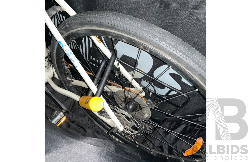 TREK Road Bike with Traveling Bag