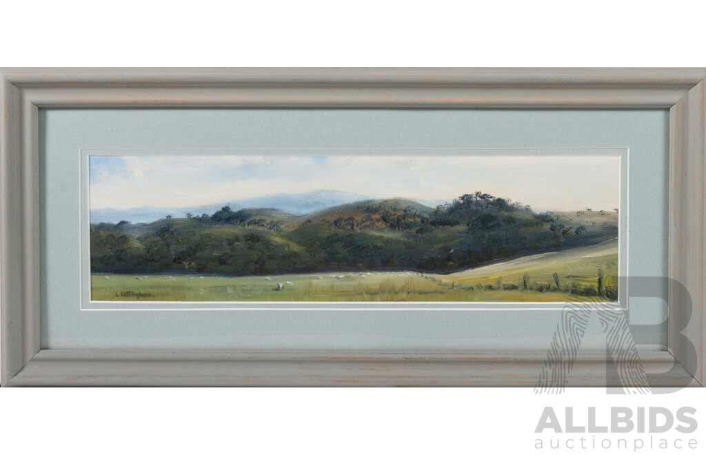 Lyn Cottingham, (20th Century, Australian), Brindabellas, Original Oil on Canvas Board, 26 x 56 cm (frame)