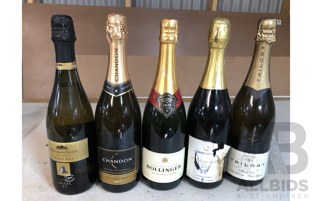 Nine Bottles of Sparkling White and Red Wines