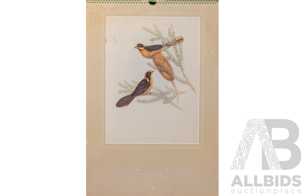 Lovely Job Lot of Bird Art - Trio of Unused Calendars Including One Featuring John Gould Images, Peter Longhurst Gang Gang Print & W Stephinson Photograph, 52 x 42 cm (largest calendar) (6)