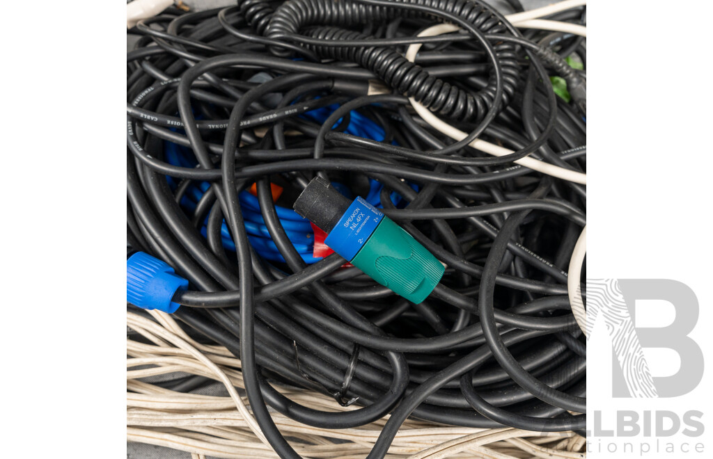 Briefcase with Collection Audio Cables Including Cannons and More