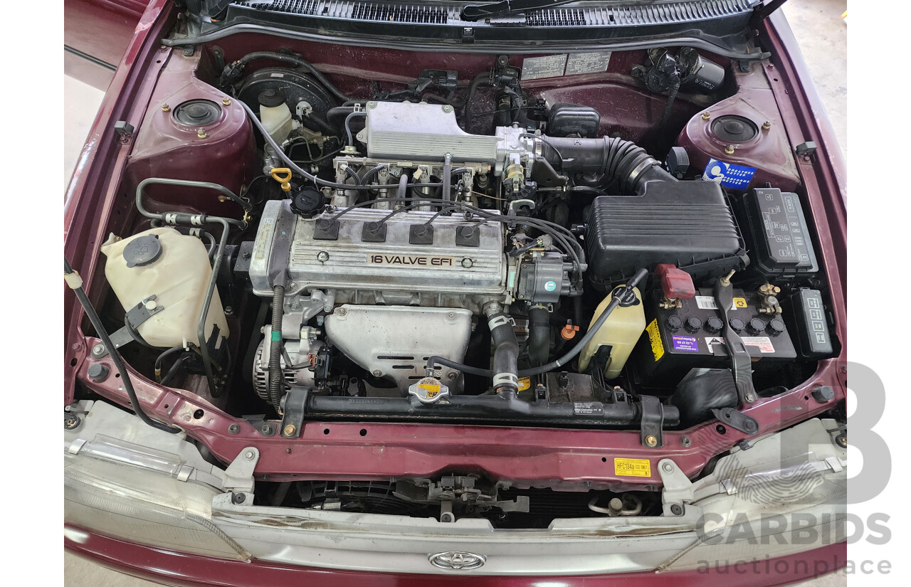 5/1999 Toyota Corolla Conquest SECA AE102R 5d Liftback Maroon 1.8L