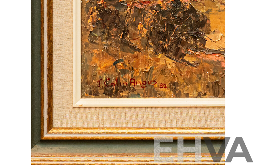 J. Colin Angus, (20th Century, - Lot 1614581 | EHVA