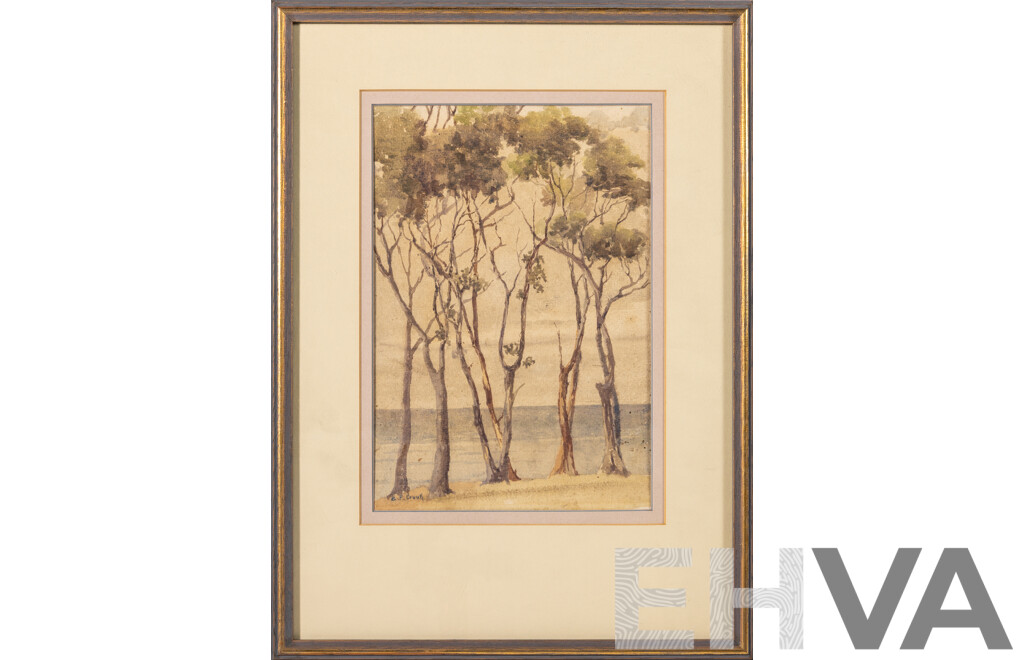 Ethel Crook, (20th Century, Australian, Active C1920s-1950s), Trees, Beautiful Original Antique Watercolour,  41 x 30 cm (frame)