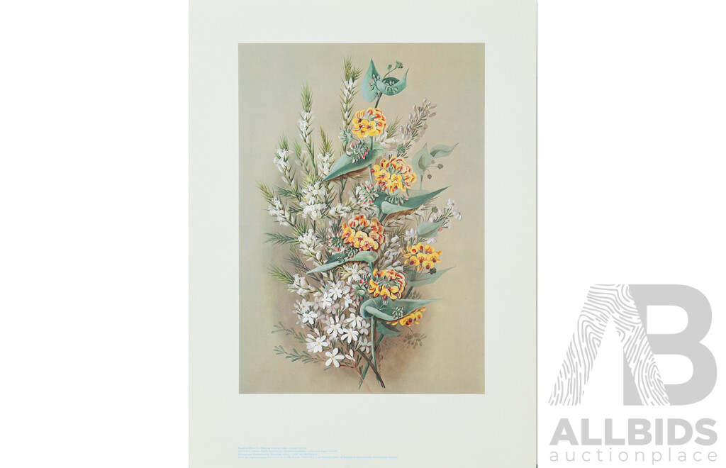 Ellis Rowan (19/20th Centuries, Australian, 1848-1922), Studies of Australian Flora, Nice Collection of Approximately Eighteen Colour Prints After Originals, 46 x 32 cm (largest sheet) (18)