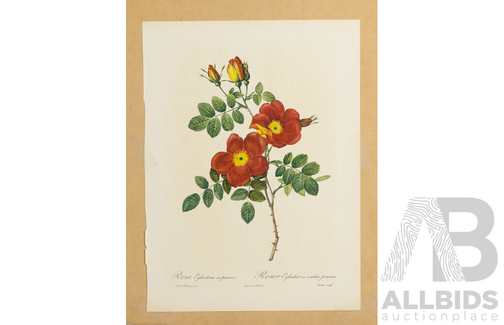 Pro Hart, (20th Century, Australian, 1928--2006), The Bic Man, Editioned Etching Unframed, 30 x 20 cm (etching)