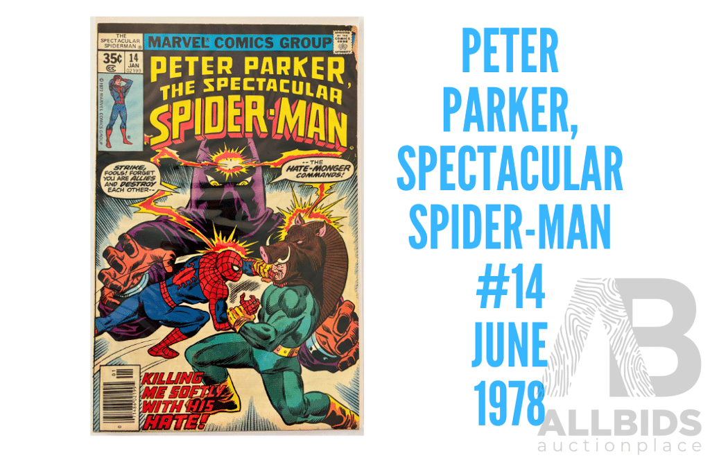 Peter Parker The Spectacular Spider-Man Issue #14 Jan 1978