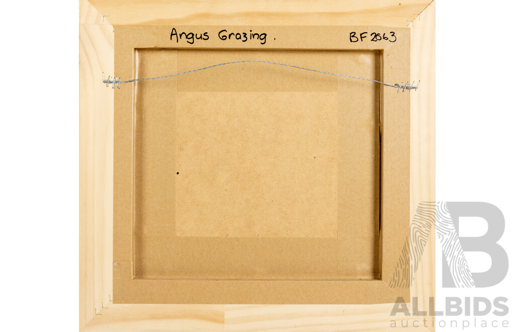 Signed Indistinctly, (20th Century), Angus Grazing, Wonderful Original Vintage Oil on Board, 38 x 41 cm (frame)