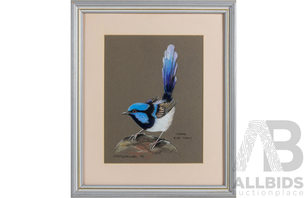 Lesley A. Wallington, (20th Century, Australian), Superb Blue Wren (1993), Wonderful Original Pastel, 46 x 39 cm (frame)