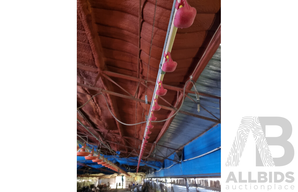 Quantity of 4 (100m) Poultry Shed Gamma Feeders & Watering Pulley Systems