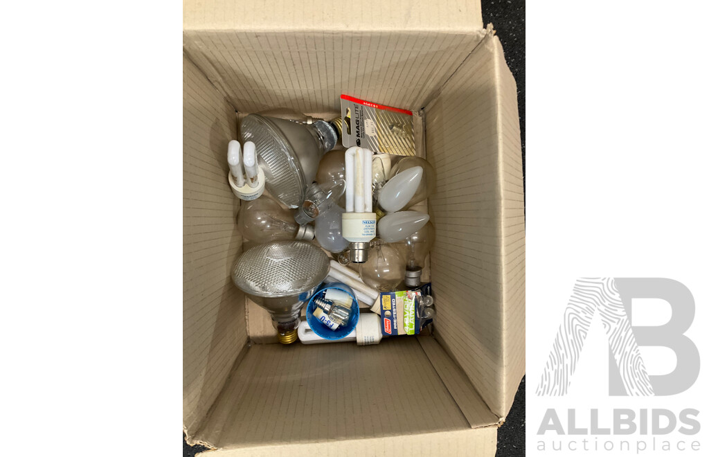 Assorted Lighting Bulbs