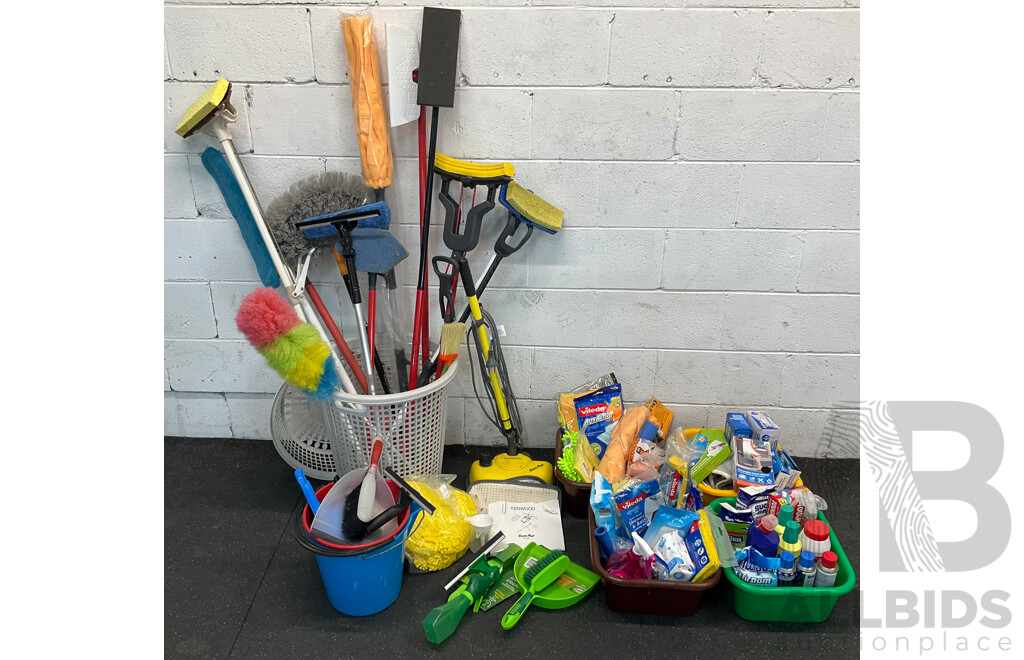 Assorted Cleaning Supplies and Steam Cleaner
