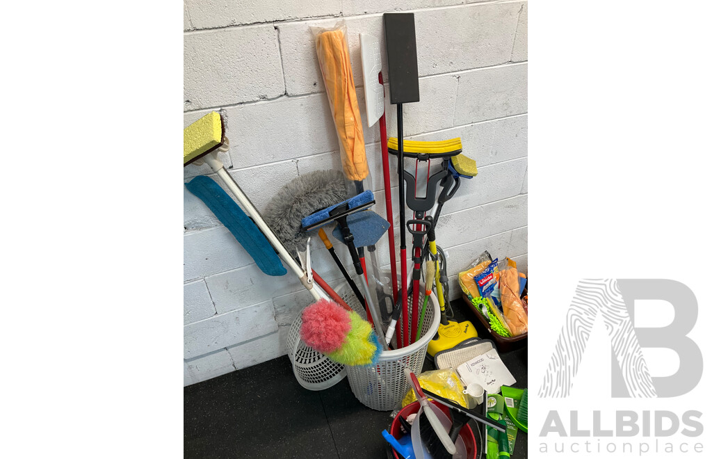 Assorted Cleaning Supplies and Steam Cleaner