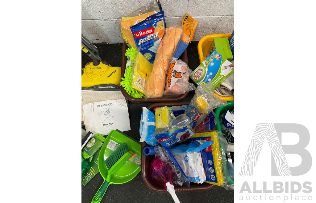 Assorted Cleaning Supplies and Steam Cleaner
