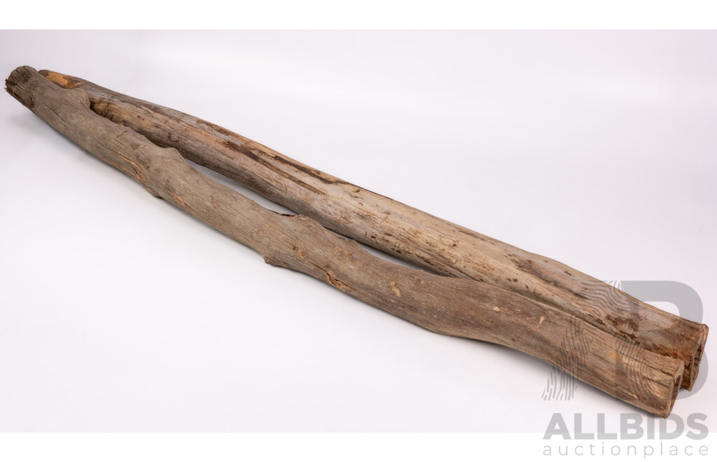 Two Hand Made Australian Eucalyptus Didgeridoo Blanks