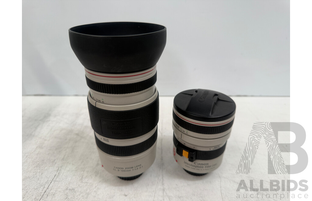 Canon EX2 HI 8mm Video Camcorder