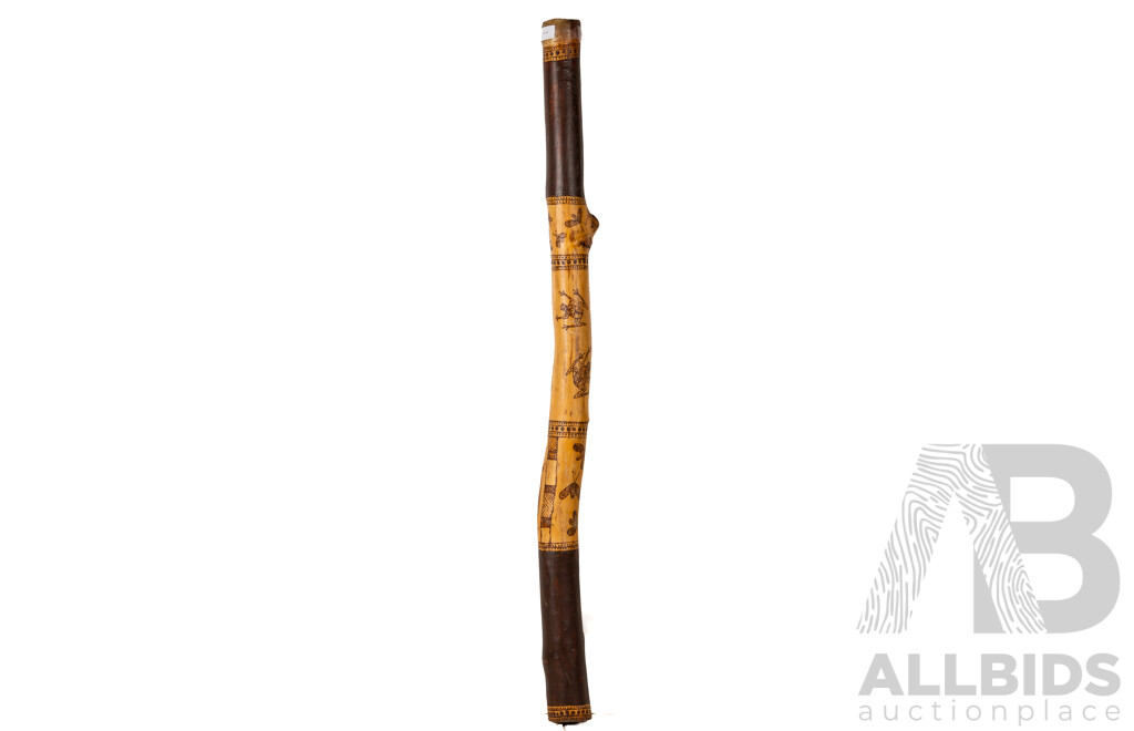 Artist Unknown, (20th Century), Frogs and Bugs, Eucalyptus Gum with Pyrogravure Decoration, Didgeridoo 110 cm (length)