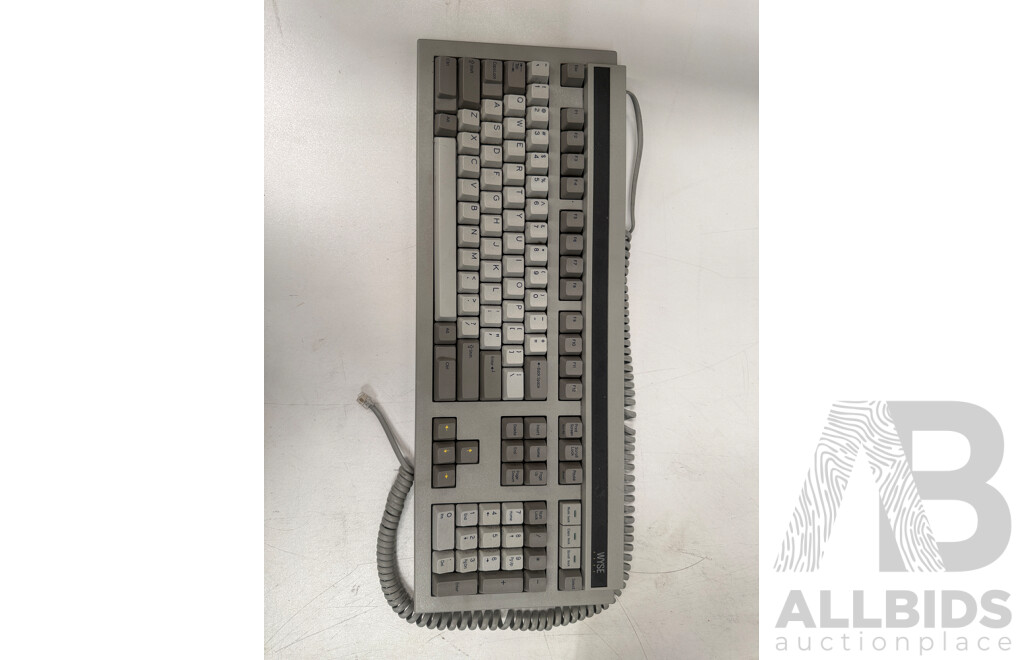 Wyse Computer Monitor + Wyse Keyboard