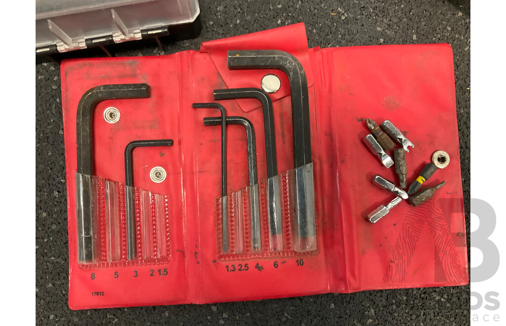 RYOBI Insulated Cooler Bag with Assorted Tools