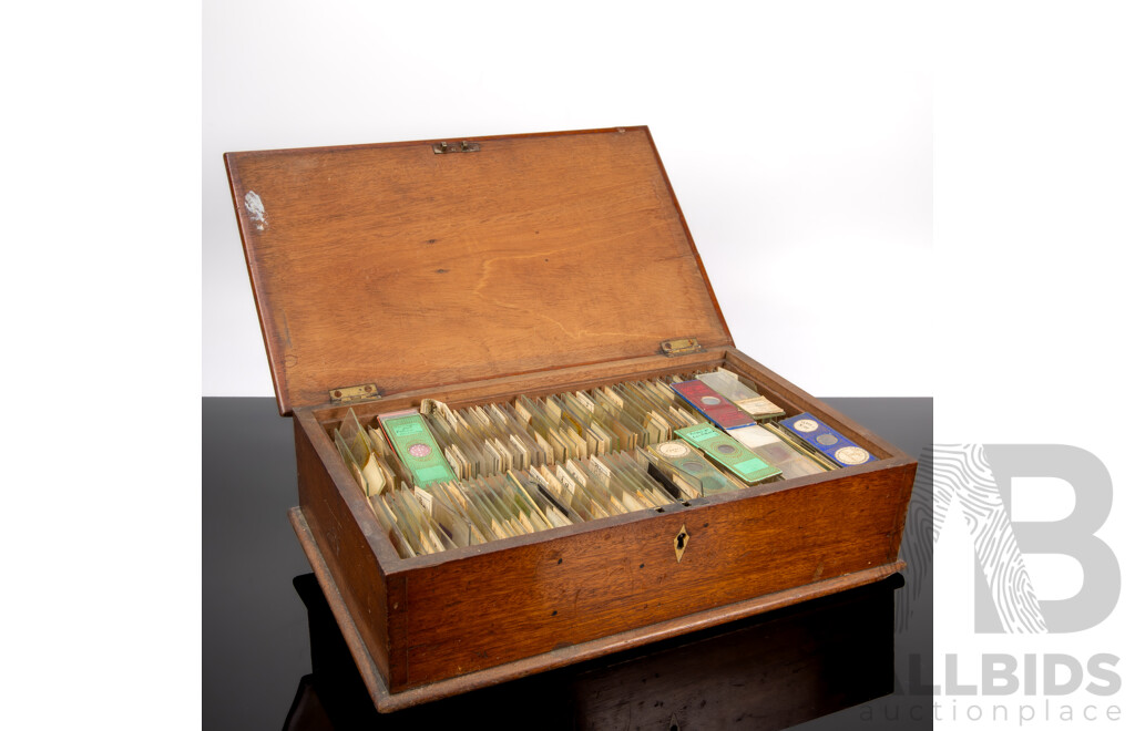 Large Collection Of Scientific Glass Slides in Cedar Case