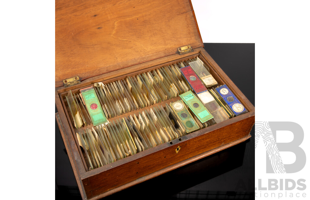 Large Collection Of Scientific Glass Slides in Cedar Case