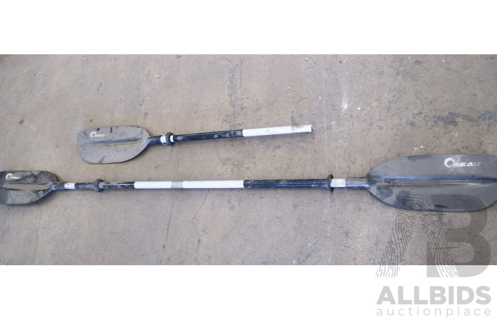 Seak Rapid 2.7M Customized Fishing Kayak with Watersnake ASP T18 Transom Mount Electric Trolling Motor & Accessories ETC