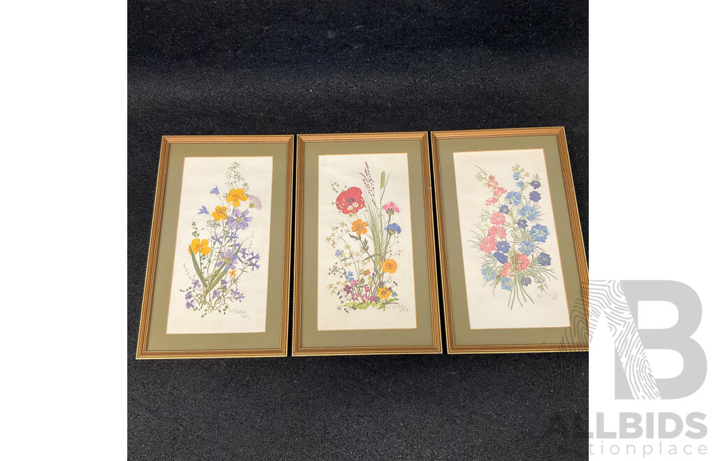 C.L.Britzke Neil (1976) Framed Botanical Flower Print, 42 X 25 Cm (frame) - Set of 3