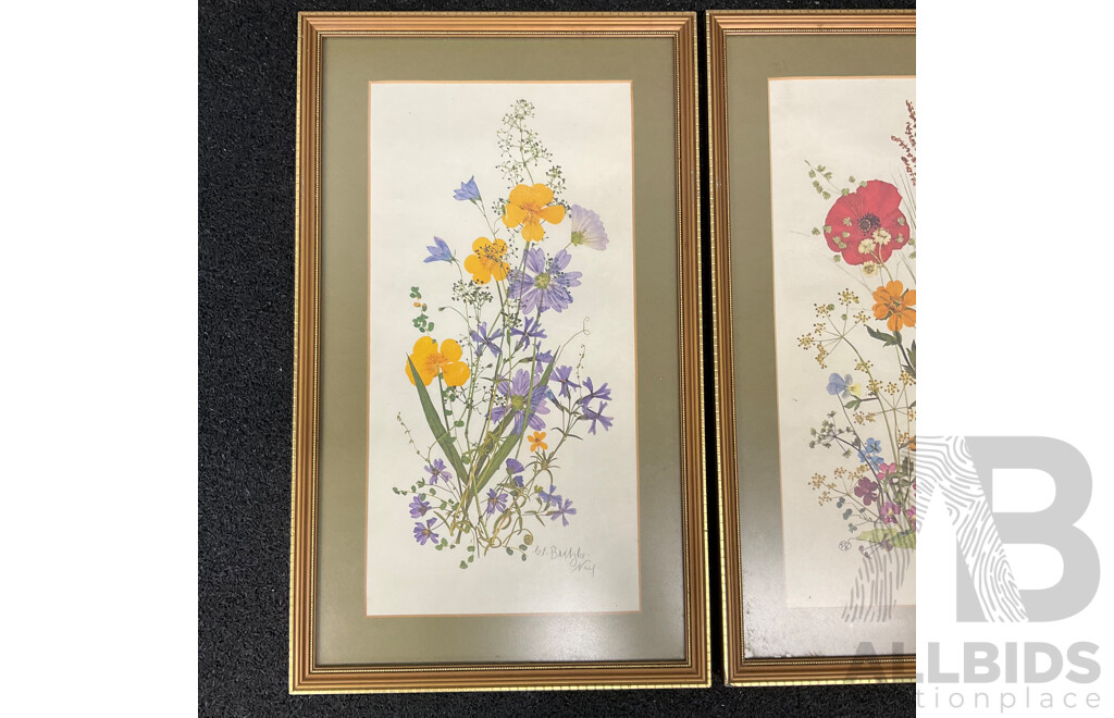 C.L.Britzke Neil (1976) Framed Botanical Flower Print, 42 X 25 Cm (frame) - Set of 3