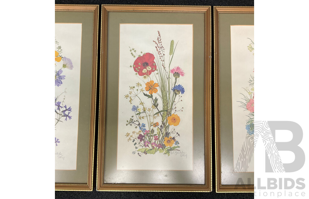 C.L.Britzke Neil (1976) Framed Botanical Flower Print, 42 X 25 Cm (frame) - Set of 3