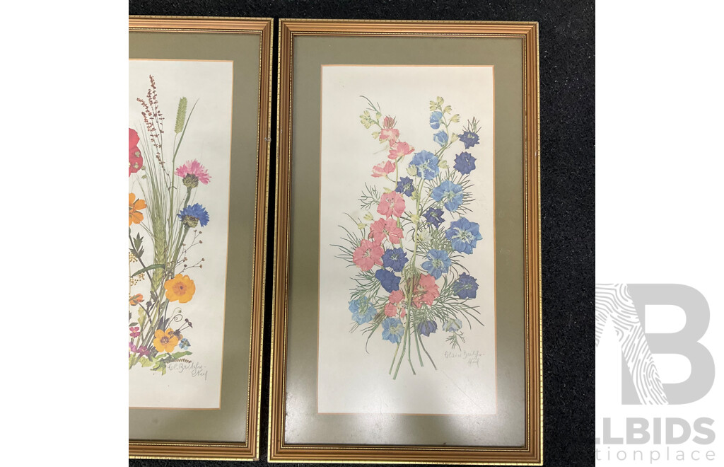 C.L.Britzke Neil (1976) Framed Botanical Flower Print, 42 X 25 Cm (frame) - Set of 3