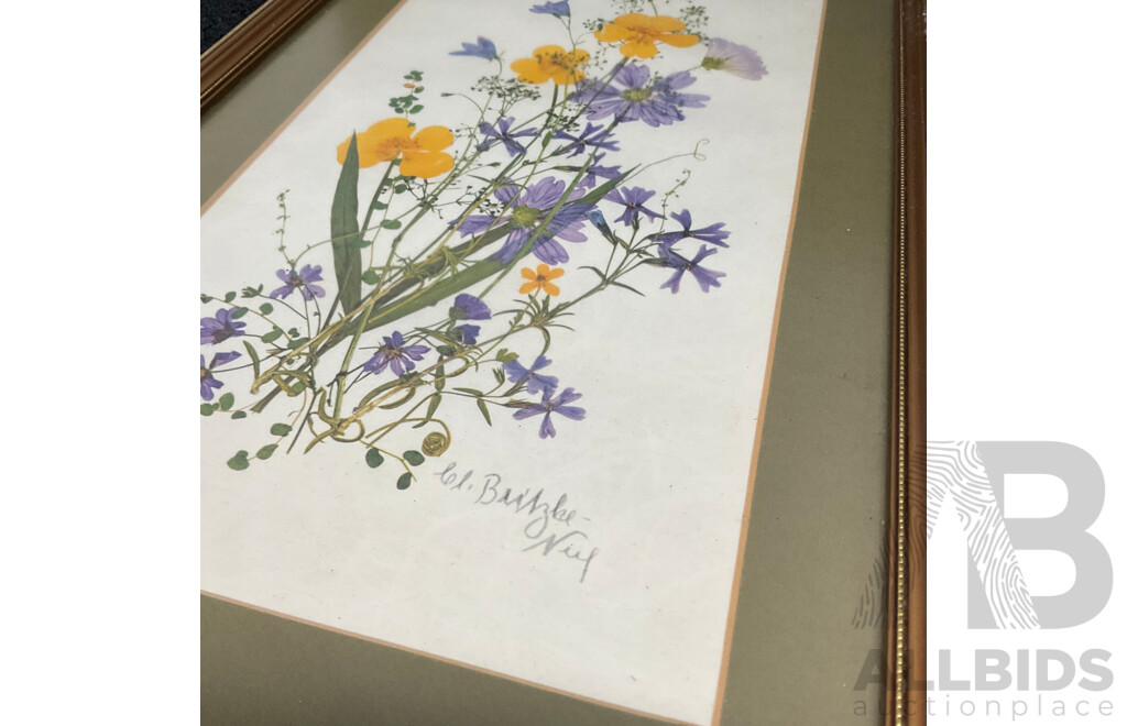 C.L.Britzke Neil (1976) Framed Botanical Flower Print, 42 X 25 Cm (frame) - Set of 3