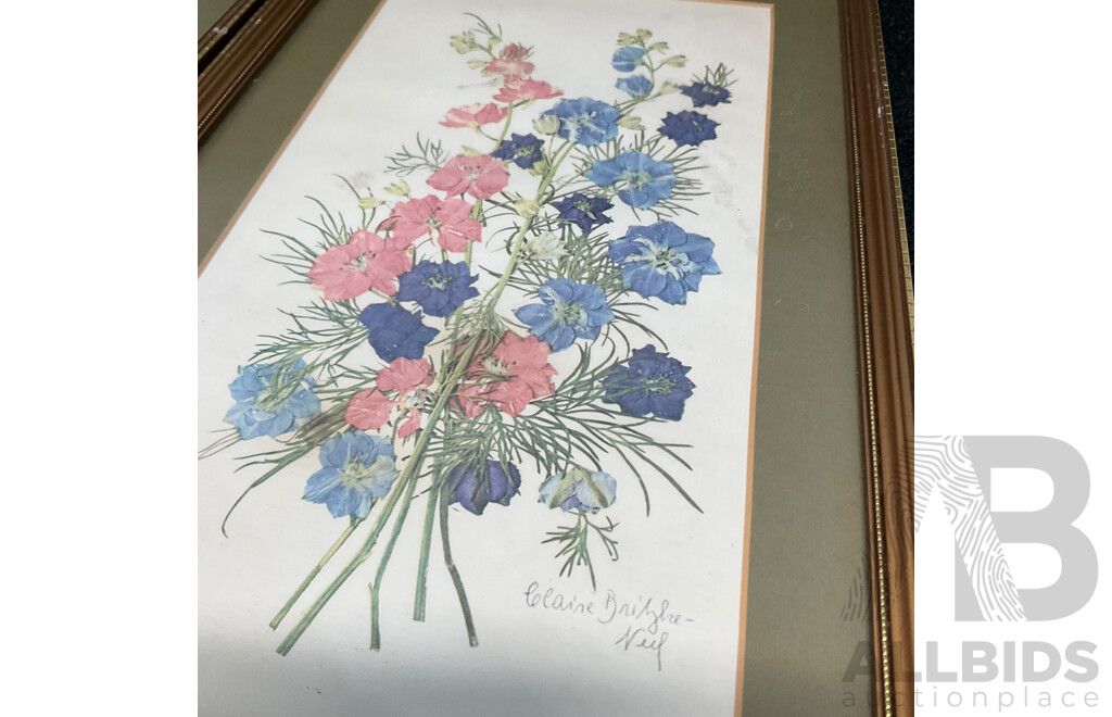 C.L.Britzke Neil (1976) Framed Botanical Flower Print, 42 X 25 Cm (frame) - Set of 3