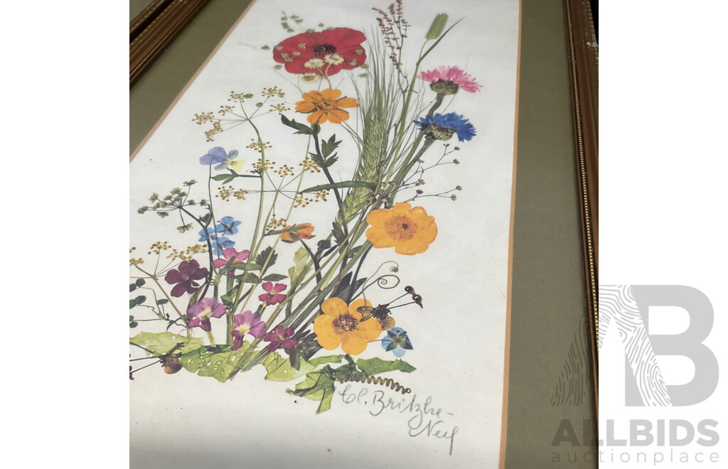 C.L.Britzke Neil (1976) Framed Botanical Flower Print, 42 X 25 Cm (frame) - Set of 3