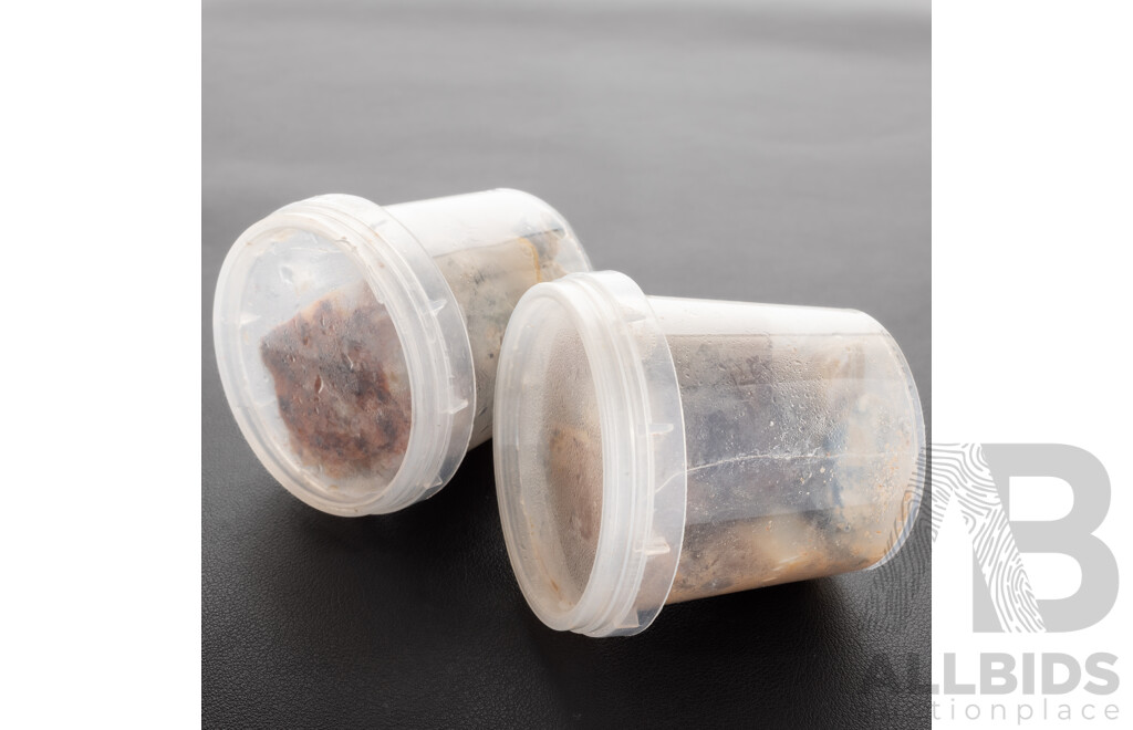 Austalian Opal Natural Rough Unpolished Gemstones in (2) Containers