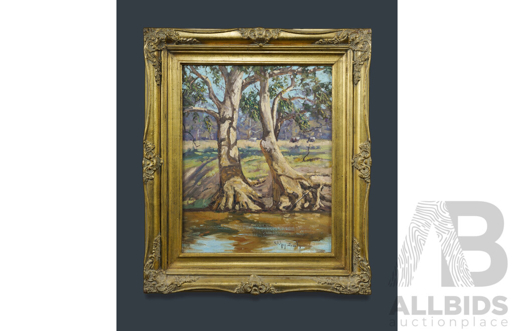 SEALY, Ritchey (b.1962) 'Gums by the Lachlan [River, NSW]' Oil on Canvas on Board 