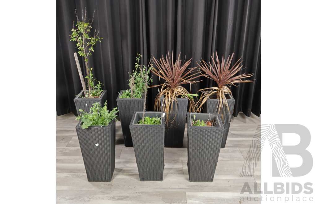 Collection of Seven Polyweave Planters