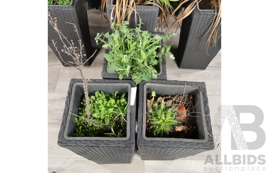 Collection of Seven Polyweave Planters