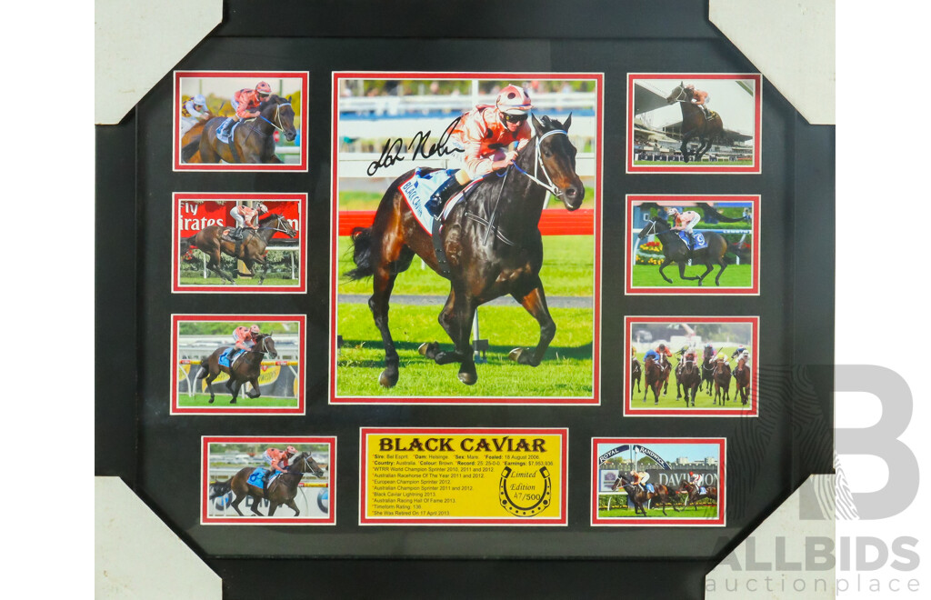 Wonderful Black Caviar Limited Edition 47 of 500 & Signed Framed Photographic Display, 46 x 56  cm (frame)