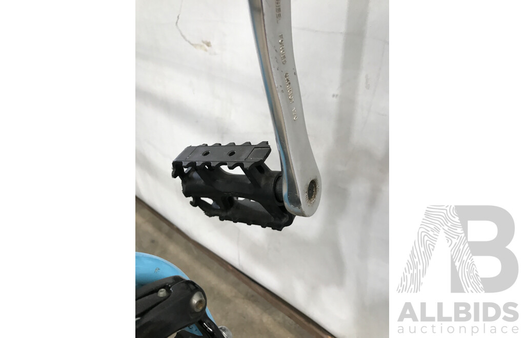 Cell Single Speed Road Bike