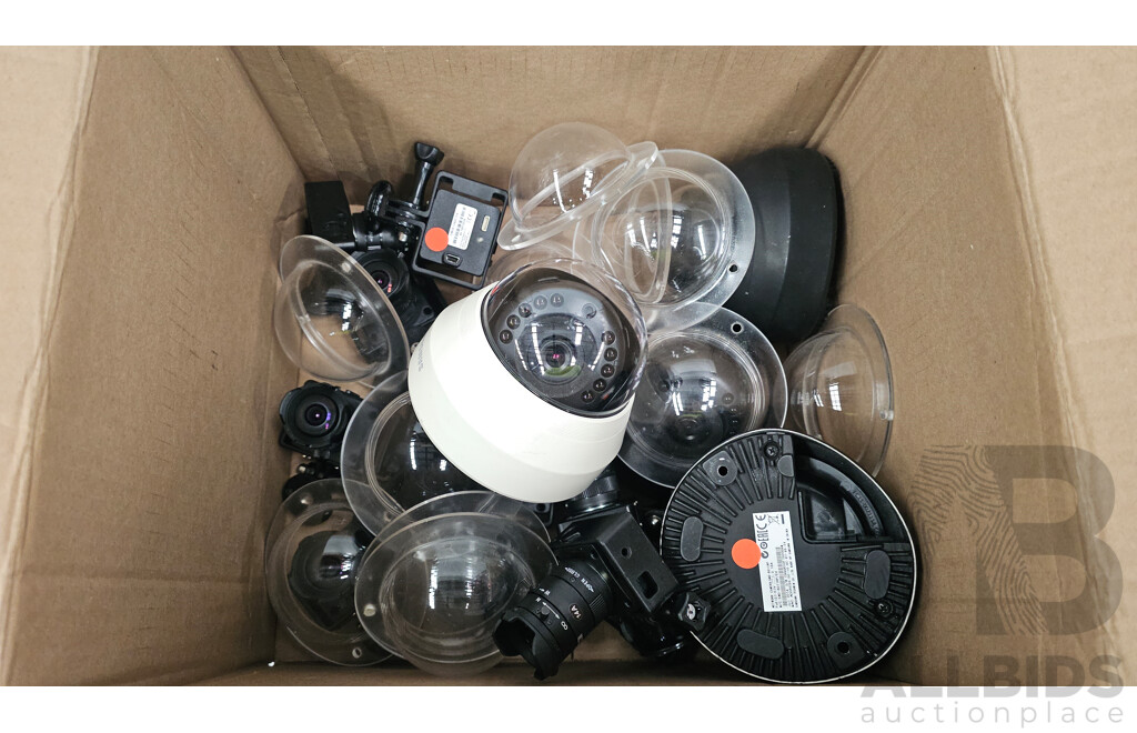 Assorted Lot of Cameras