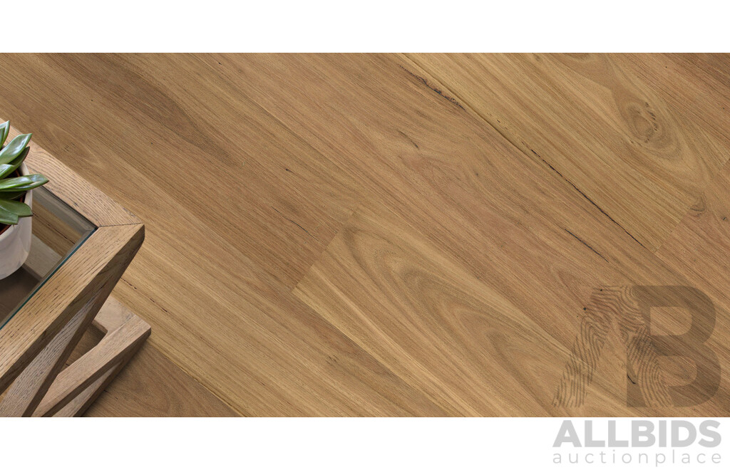 Pioneer Brush 14mm  Laminate Flooring - Spotted Gum Finish - 13.104 Square Meters - Brand New