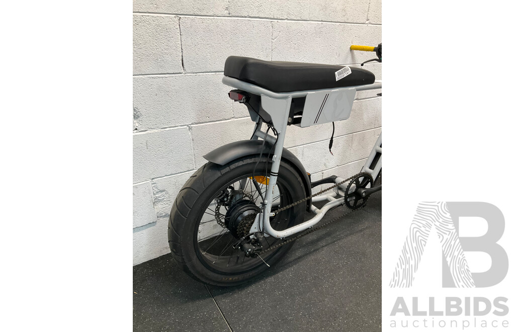 Fat Tire Electric Bike
