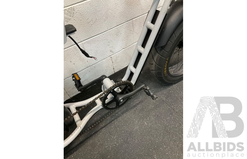 Fat Tire Electric Bike