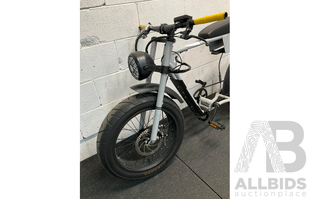 Fat Tire Electric Bike