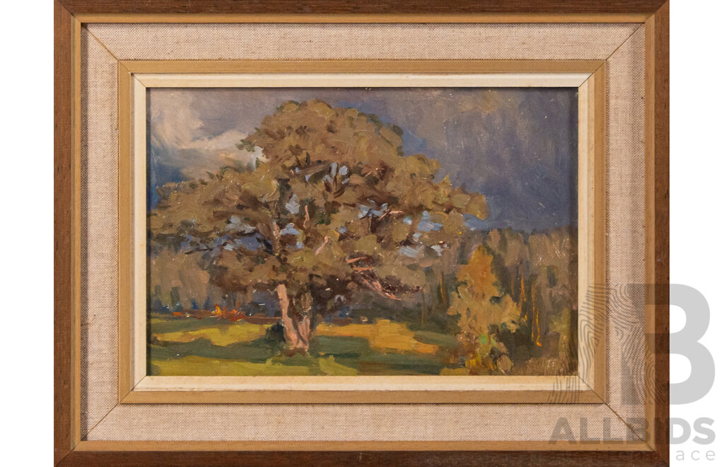 Artist Unknown (20th Century), The Tree, Lovely Vintage Original Oil on Canvas, 27 x 35 cm (frame)